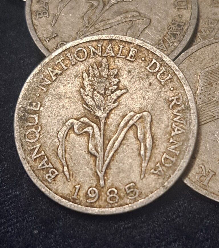 Read more about the article 1985 Rwanda 1 Franc Coat of Arms  Millet Flower 21mm coin