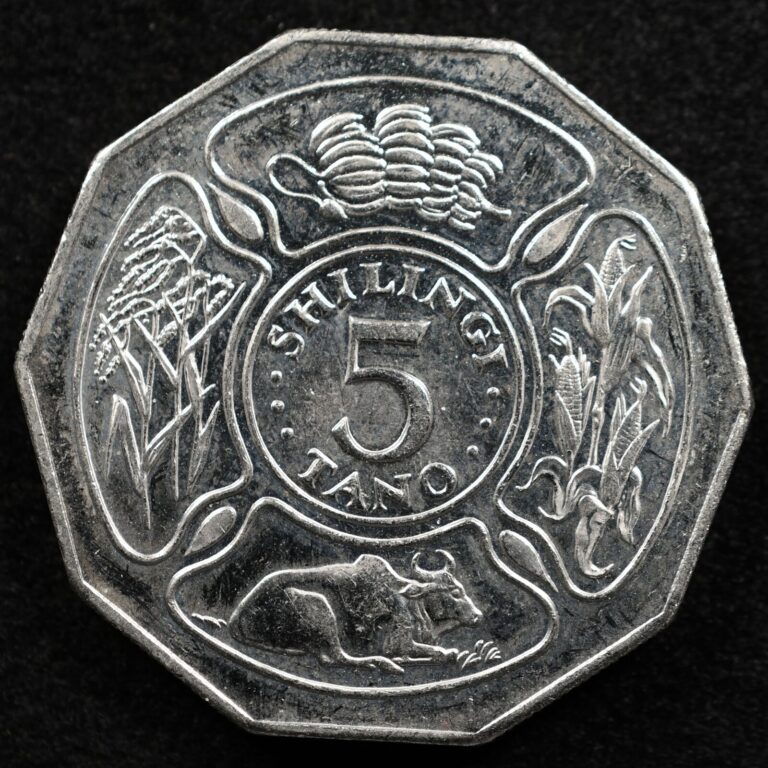 Read more about the article Tanzania 5 Shilingi 1993  Coin  Inv#F329