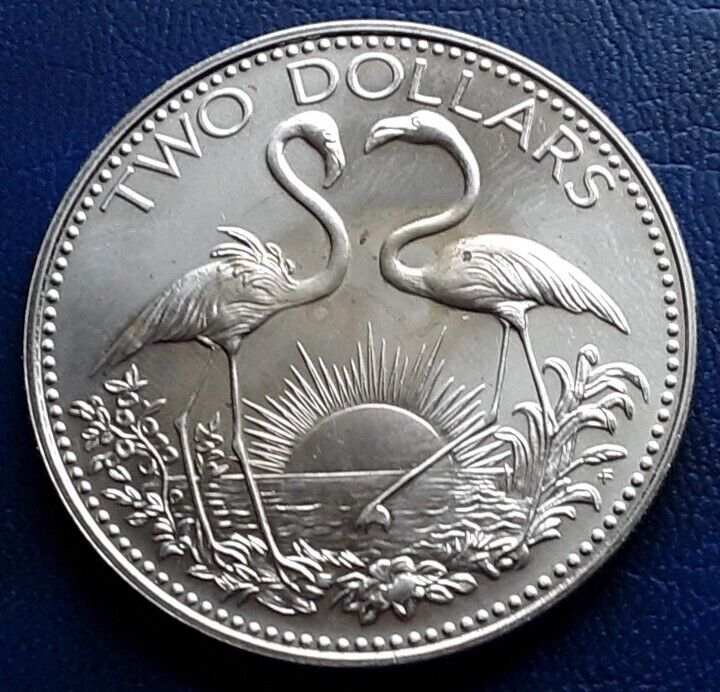 Read more about the article Bahamas 2 Dollar 1974 Huge Large Silver Coin