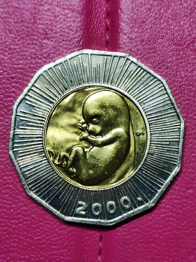 Read more about the article Coin 25 kuna – Born of the new millennium!!FETUS – CROATIAN COMMEMORATIVE COIN!