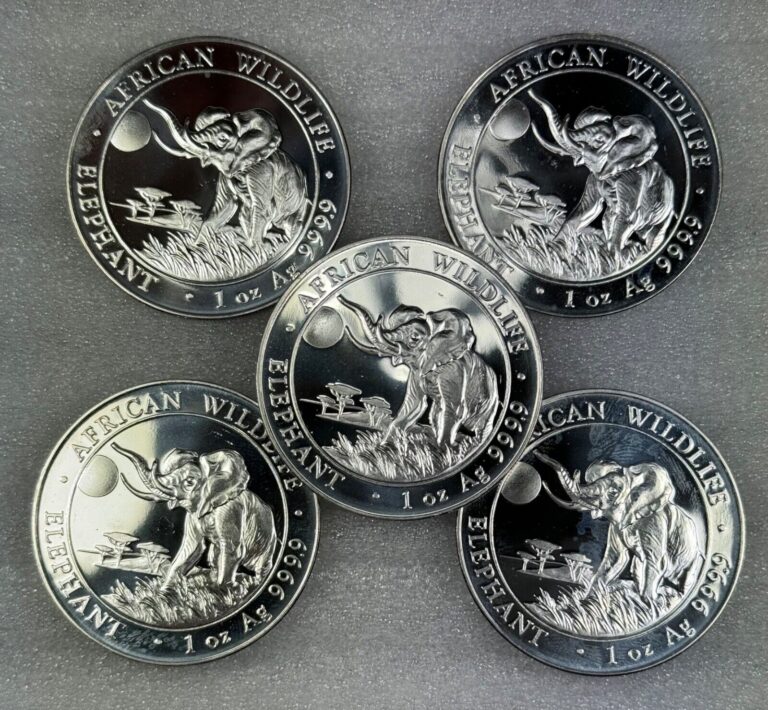 Read more about the article Somalia 5x 100 Shillings 2016 African Wildlife Elephant 1 Oz 999 Silver Coins