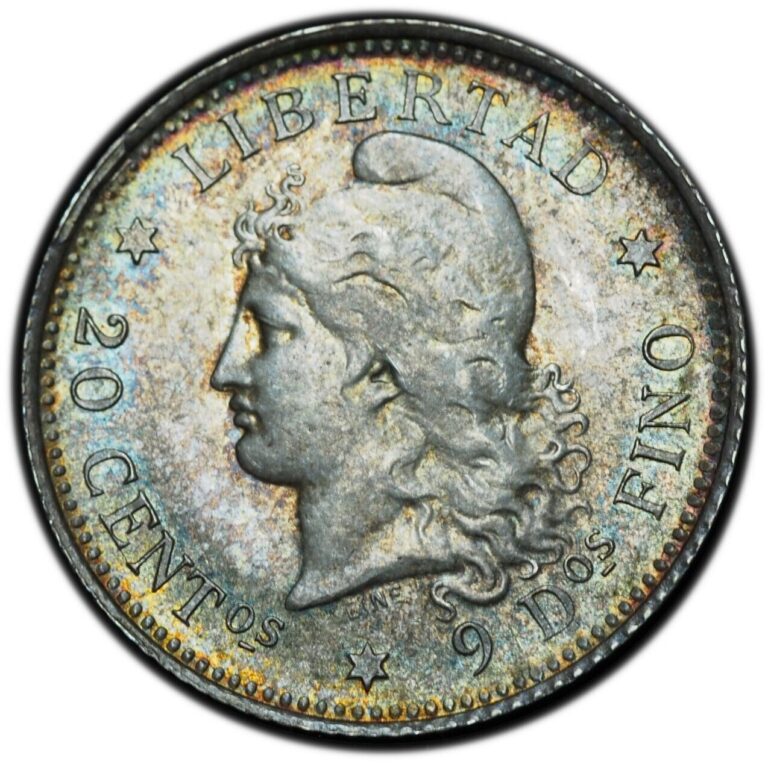 Read more about the article 1882 Argentina 20 Centavos AU / UNC Beautiful Toning