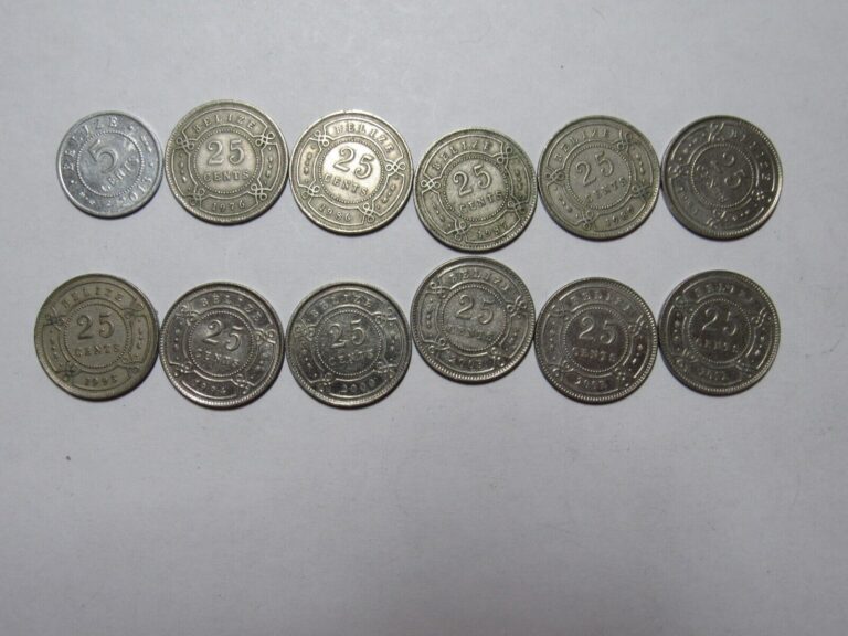 Read more about the article Lot of 12 Different Belize Coins – 1976 to 2013 – Circulated