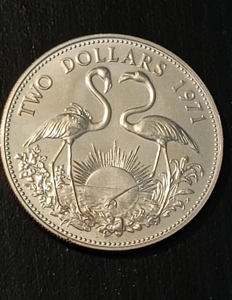Read more about the article 1971   Bahamas  Silver   2 Dollar Flamingos Coin
