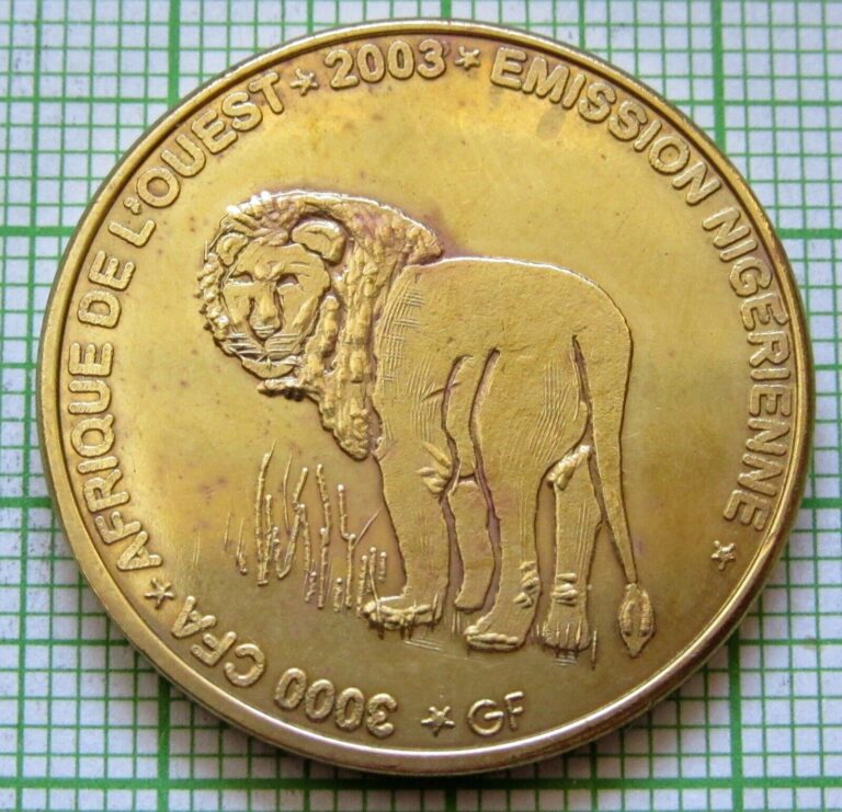 Read more about the article NIGER 2003 2 AFRICA or 3000 CFA COIN  LION IDAO COINAGE Brass Unusual