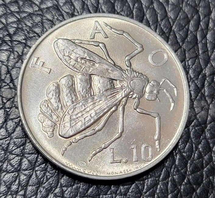 Read more about the article 1974 San Marino 10 Lire Coin