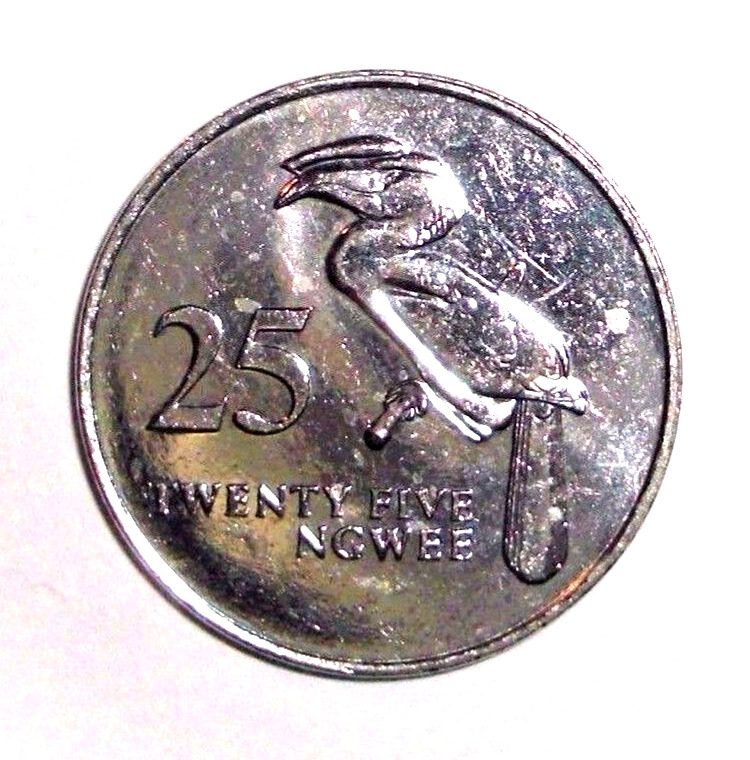 Read more about the article 1992 Zambia Coin 25 ngwee Crowned Hornbill Bird Animal African Wildlife