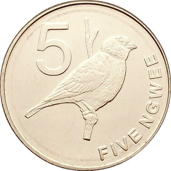 Read more about the article Zambia 5 Ngwee Coin | Zambezi Indigobird | 2012 – 2017