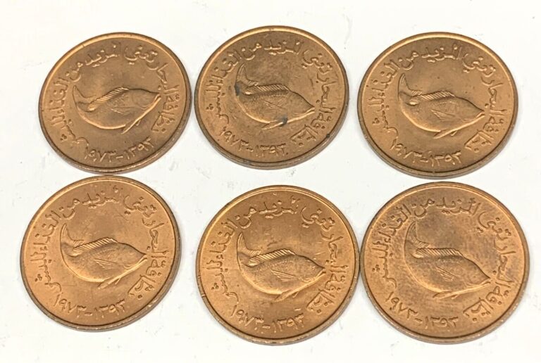 Read more about the article # C007 UNITED ARAB EMIRATES  COINS    5 FILS 1973  Unc.  ( 6 COINS ALL ALIKE )