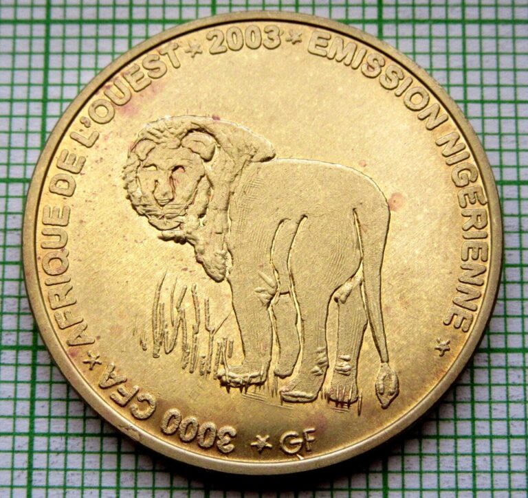 Read more about the article NIGER 2003 2 AFRICA or 3000 CFA COIN  LION  IDAO COINAGE Brass