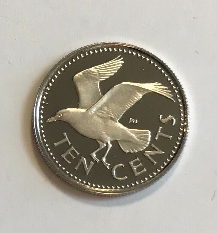 Read more about the article Barbados 10 Cents 1974 – Laughing Gull (Leucophaeus atricilla) bird – Proof