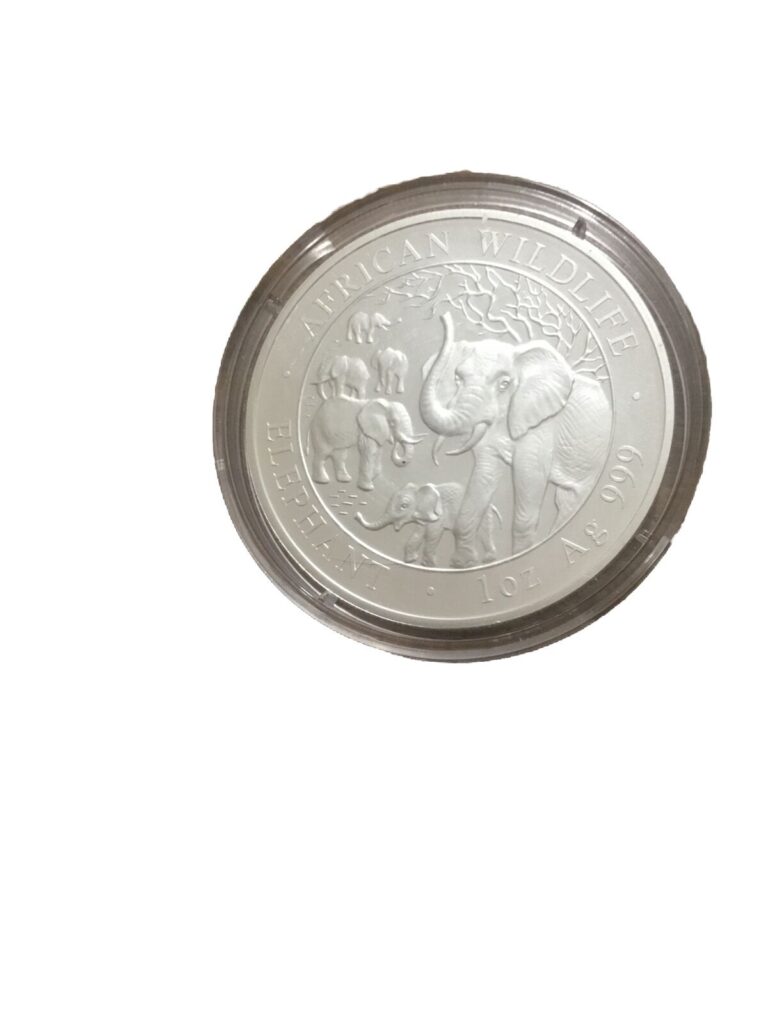 Read more about the article 2008 Somalia 100 Shillings 1 oz Silver Elephant Very Rare coin in capsule.