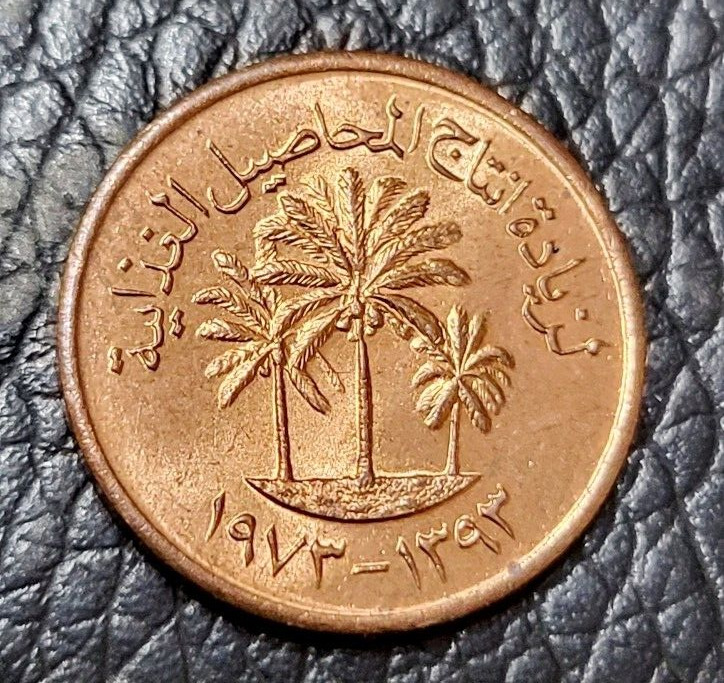 Read more about the article 1973 United Arab Emirates 1 Fils Coin