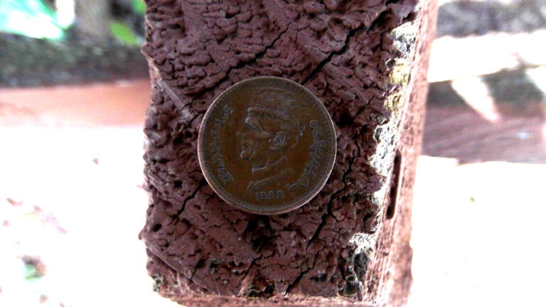 Read more about the article 1999 Pakistan 1 Rupee Coin Old Rare Pakistani Coins Money Moneda One Rupees