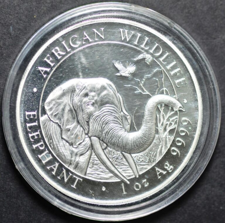 Read more about the article 2018 Somalia  100 Shilling  African Wildlife  Elephant  999 Silver  Munich Mint