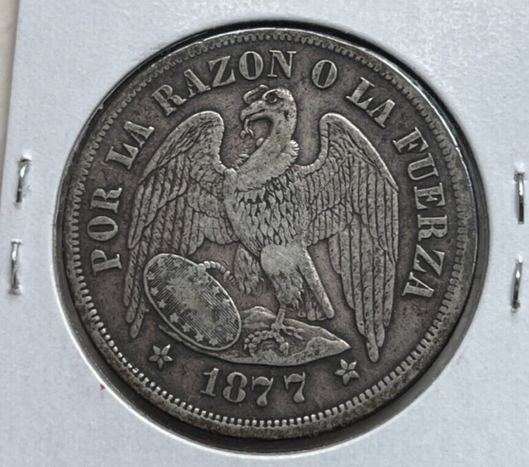 Read more about the article 1877 Chile 1 One Peso – Silver