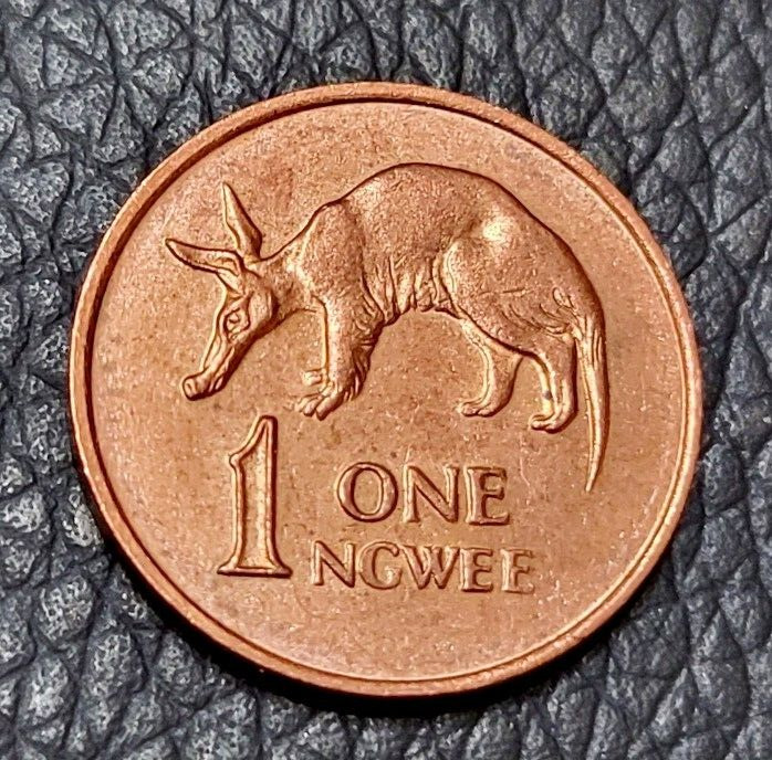 Read more about the article 1983 Zambia 1 Ngwee Coin