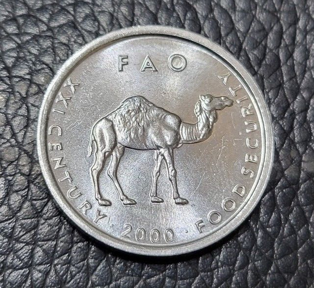 Read more about the article 2000 Somalia10 Shillings Coin