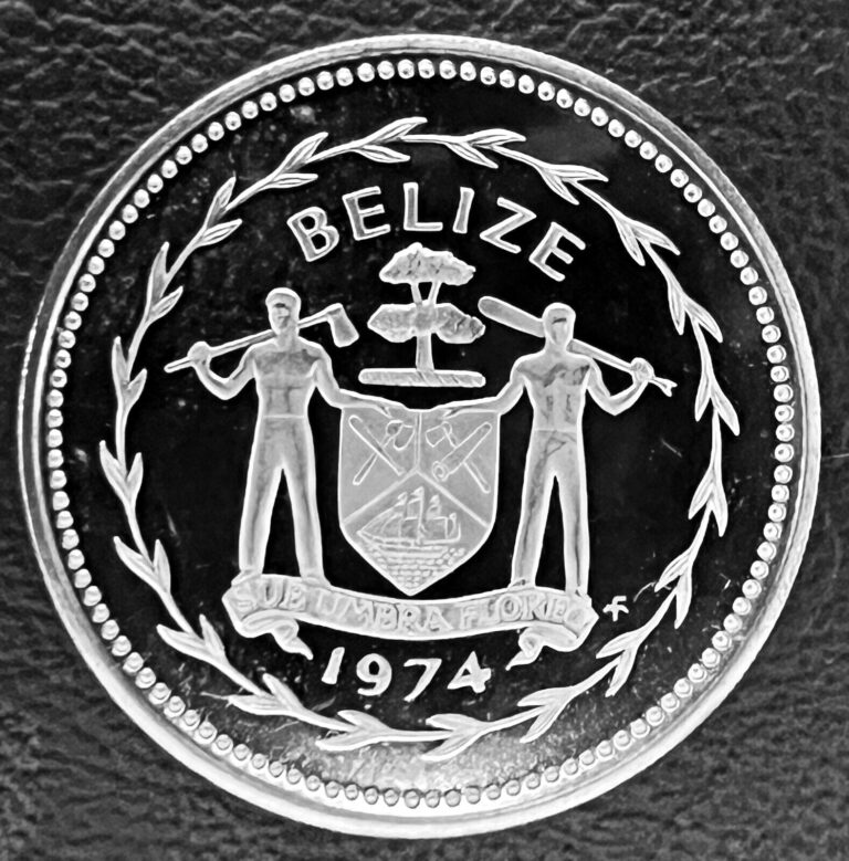 Read more about the article 1974 BELIZE BU PROOF FIFTY CENTS COIN CAMEO