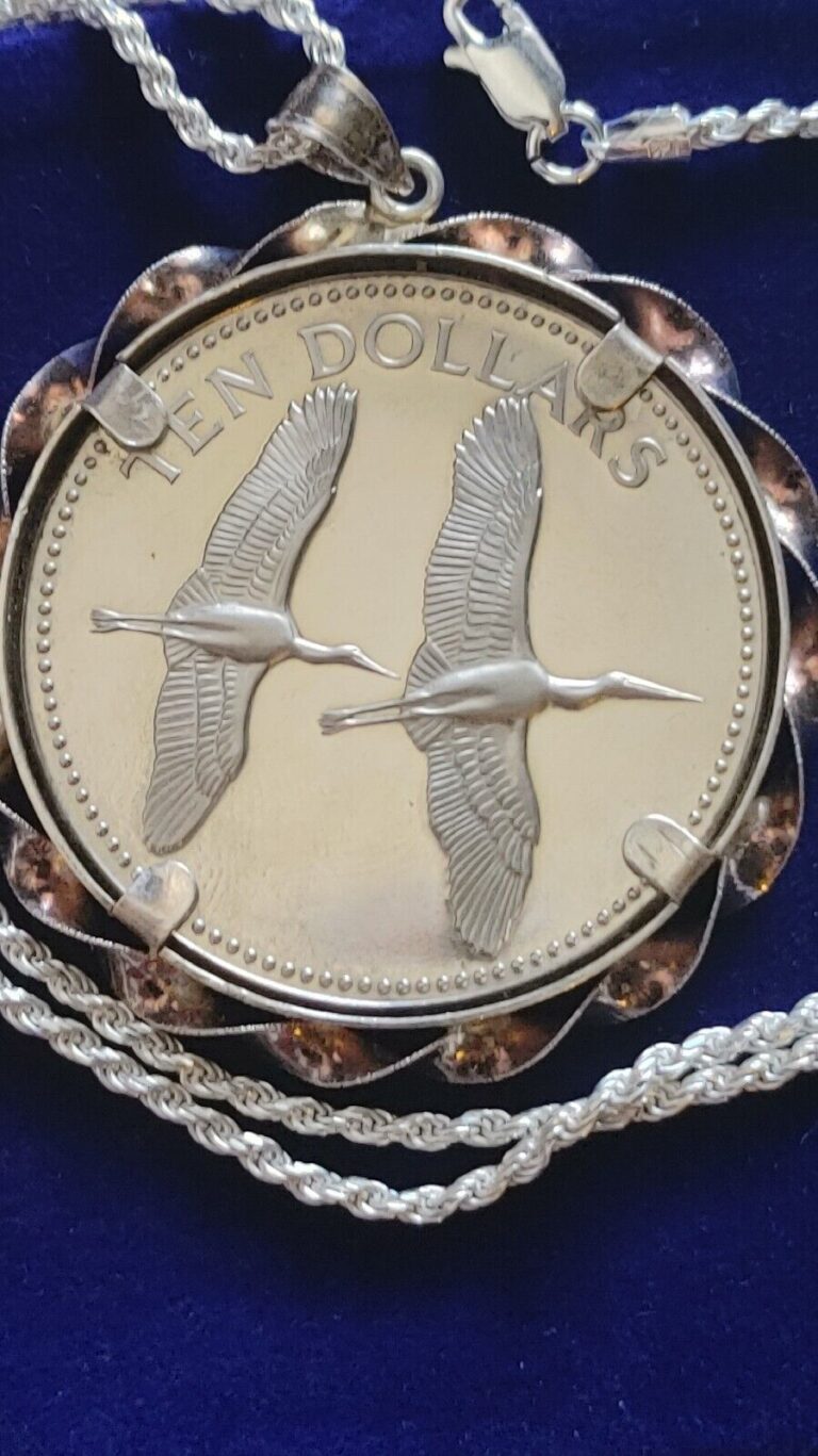 Read more about the article 1979 Belize Sterling Silver Storks coin pendant on a 24″ ITLY Rope Chain