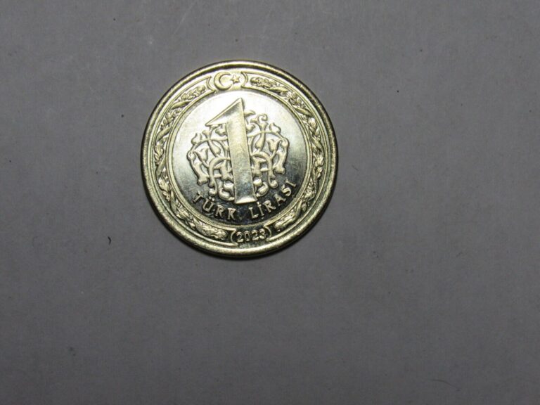Read more about the article Turkey Coin – 2023 1 Lira – Circulated