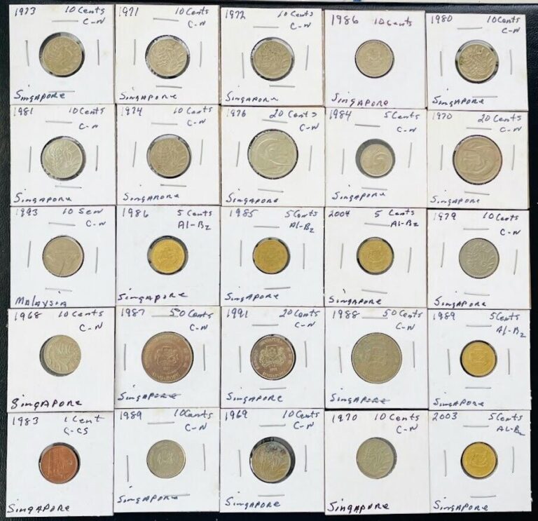 Read more about the article SINGAPORE COIN LOT of 25 Different ASIA COINS Old Coin Shop Inventory WHOLESALE