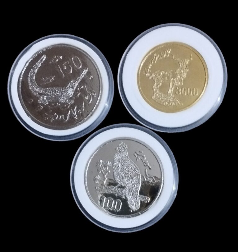 Read more about the article Lot of 3 Pakistan Commemorative Coins Set 1976 Imitation UNC