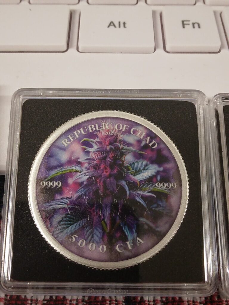 Read more about the article 2024 CHAD CANNABIS COIN PURPLE HAZE Edition Coin Colorized 1 oz .999 LOT#569