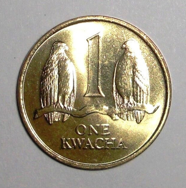 Read more about the article 1992 Zambia Coin 1 kwacha Taita Falcons on Branch Bird Animal Wildlife Africa