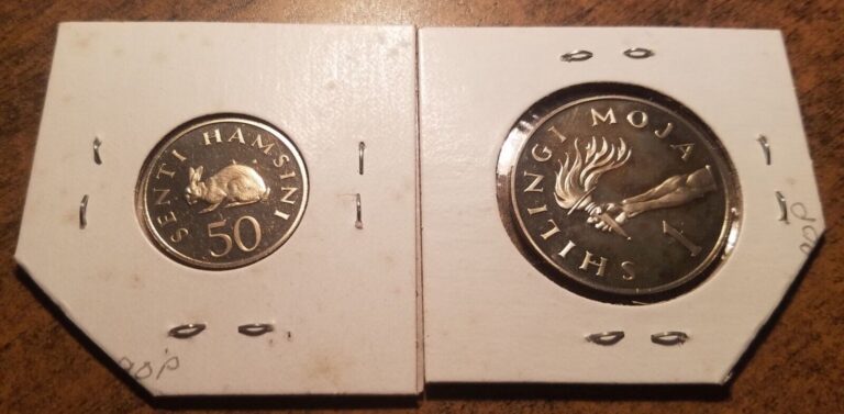 Read more about the article 1966 TANZANIA LOT OF 2 COINS: 50 SENTI + 1 SHILINGI (PROOF) MINTAGE: 5 500