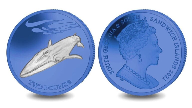 Read more about the article South Georgia 2 Pounds 2021 fin whale Titanium coins