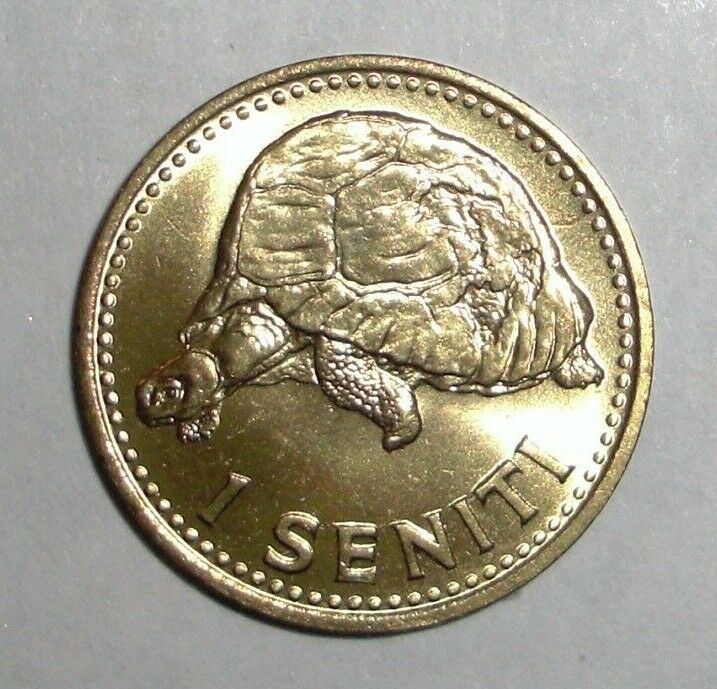 Read more about the article 1974 Tonga  1 seniti Giant tortoise  turtle animal wildlife coin