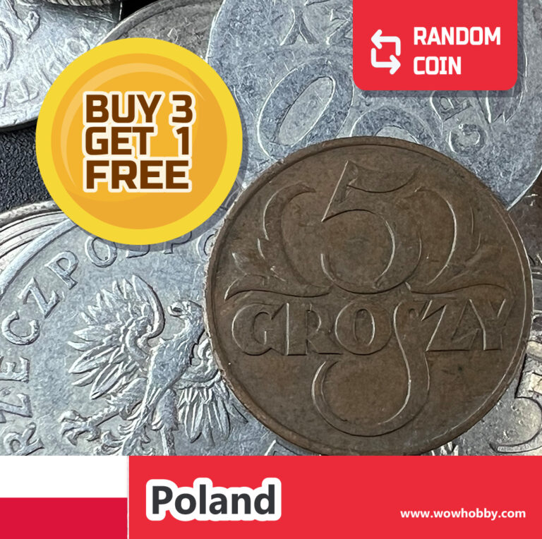 Read more about the article Poland Coin | 1 Random Collectible Old Polish Coin for Coin Collecting