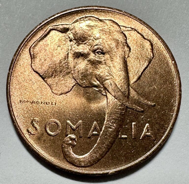 Read more about the article 1950 Somalia 1 Centesimo – Italian Somaliland – KM#1 – Great Details