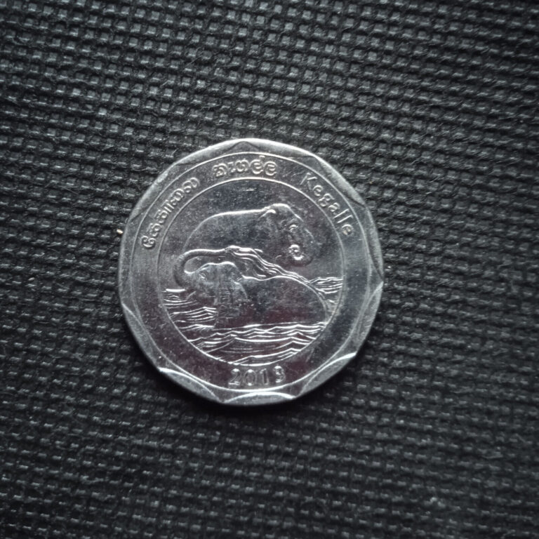 Read more about the article SRI LANKA 10 RUPEES 2013 KEGALLE ELEPHANTS WILDLIFE ANIMALS  COIN