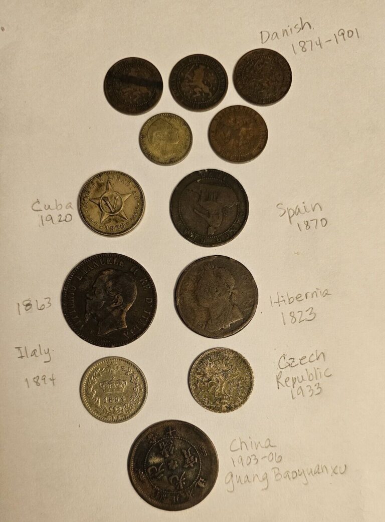 Read more about the article Old Coins 1800s China Czech Republic Spain Hibernia Italy Netherlands Lot Of 12