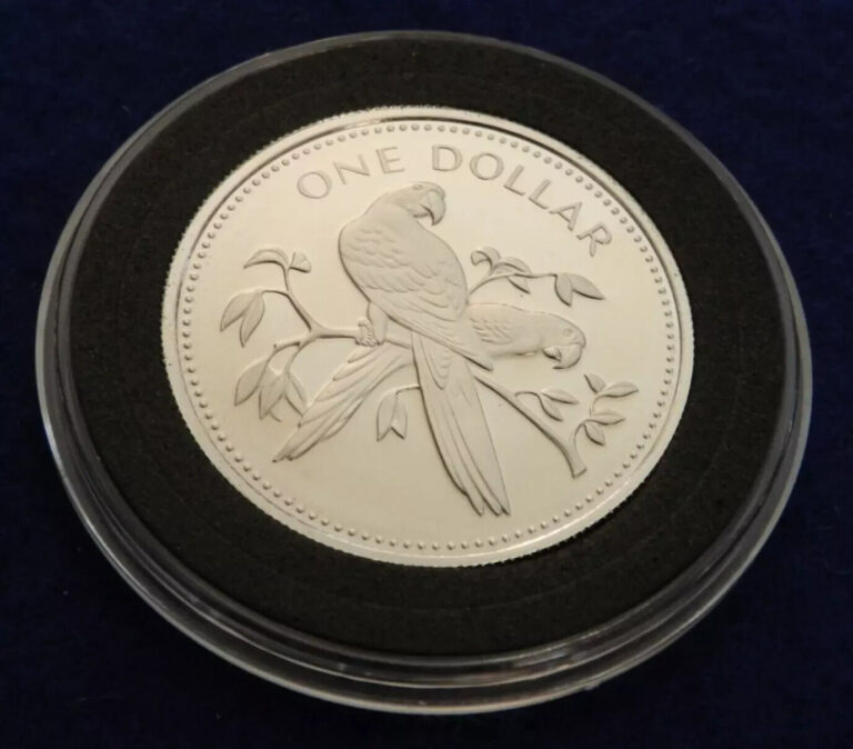 Read more about the article 1974 FM PROOF – Belize $5 Dollar  – Gorgeous Rare Toucan Silver Coin