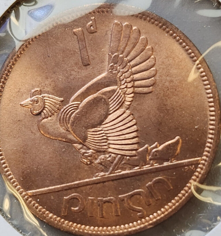 Read more about the article 1966 Ireland 1 Penny coin Brilliant Uncirculated Woodcock bird