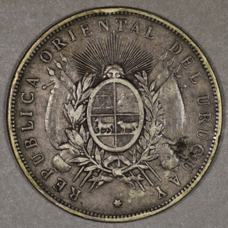 Read more about the article 1895 Uruguay Silver Peso