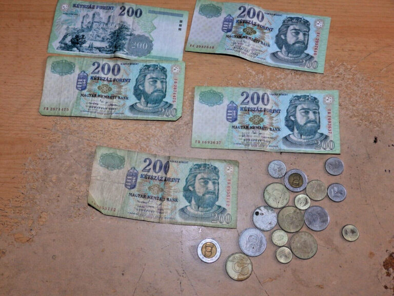 Read more about the article HUNGARY LOT OF FORINT BANKNOTES AND COIN