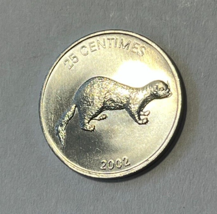 Read more about the article 2002 Congo D.R. 25 centimes Coin African Striped Weasel Lion Cat