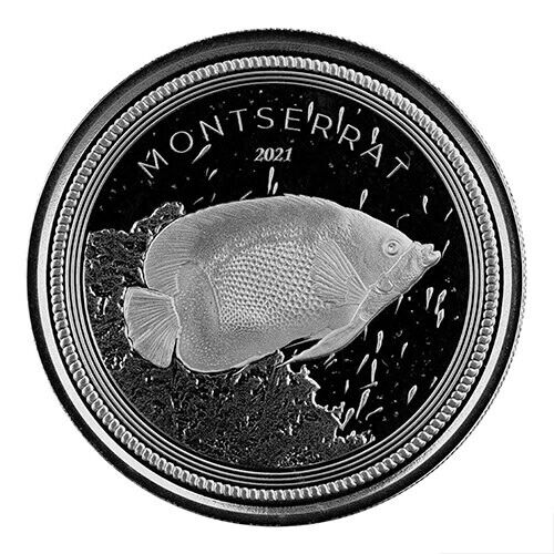 Read more about the article 2021 EC8 Montserrat: Angelfish 1 oz Silver BU