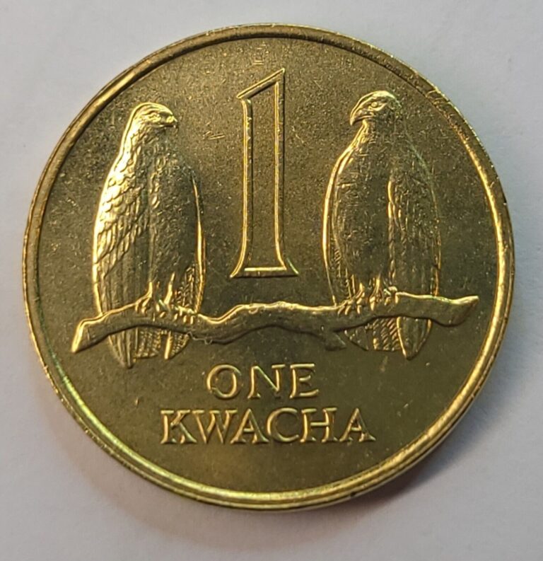 Read more about the article Zambia 1992 Coin 1 KWACHA-KM#38-19.2MM-TAITA FALCONS-AFRICA