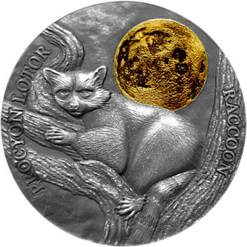 Read more about the article Ghana 2 Cedis 2021 Raccoon Wildlife in the Moonlight Antique finish Silver Coin