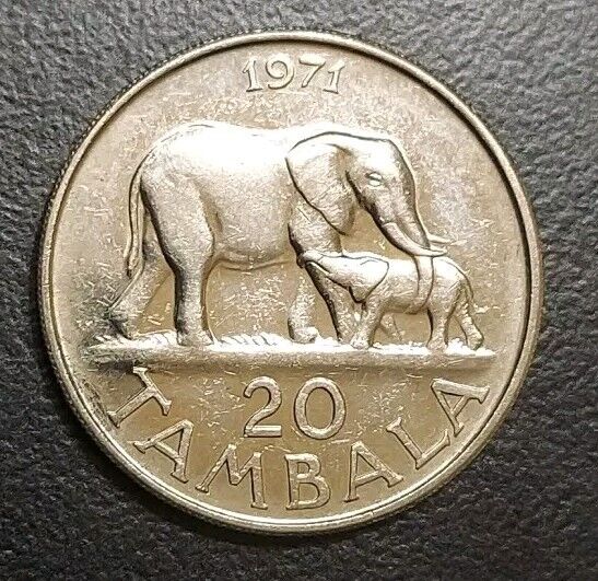 Read more about the article 1971 MALAWI 20 TAMBALA COIN ELEPHANT and CALF ELEPHANTS AFRICA THEMATIC KM 11.1