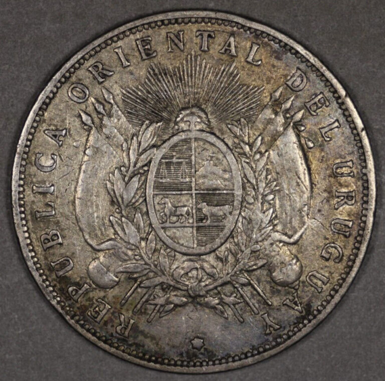 Read more about the article 1895 Uruguay Silver Peso