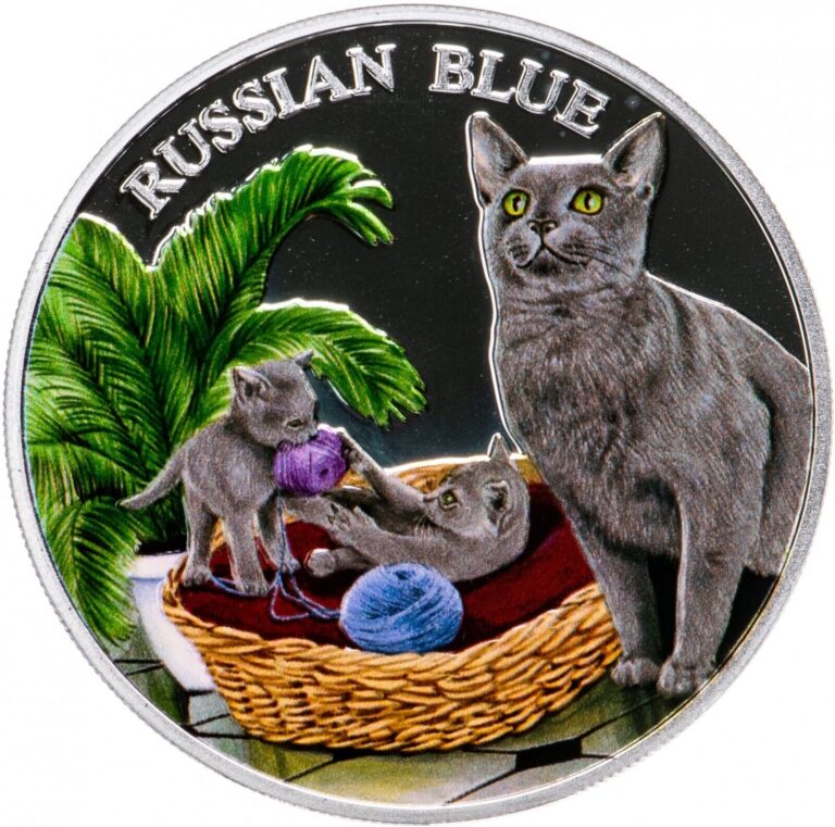 Read more about the article 2011 Rwanda Russian Blue Cat 999 Silver Colored Proof Coin Kitten 500 Franc RARE