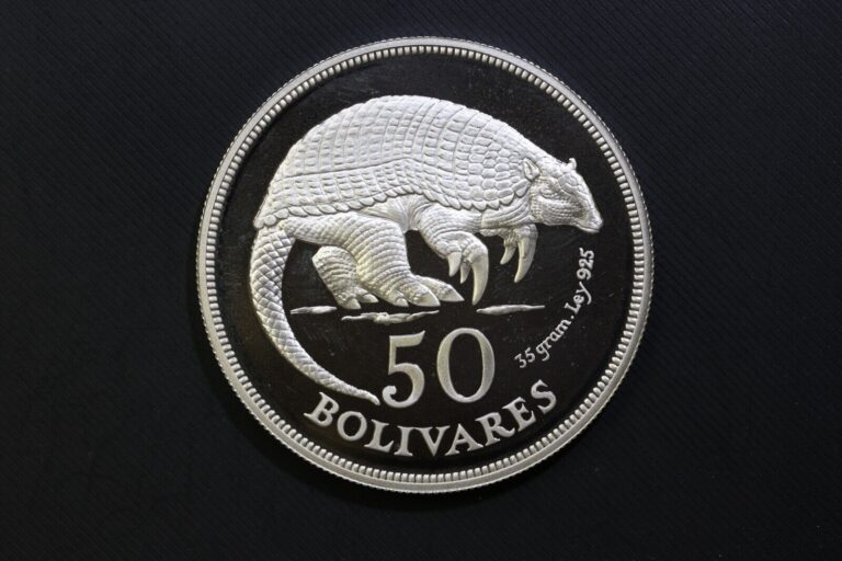 Read more about the article VENEZUELA 1975 50 Bolivares Silver 1.0408 ASW PROOF Beautiful coin! ARMADILLO!