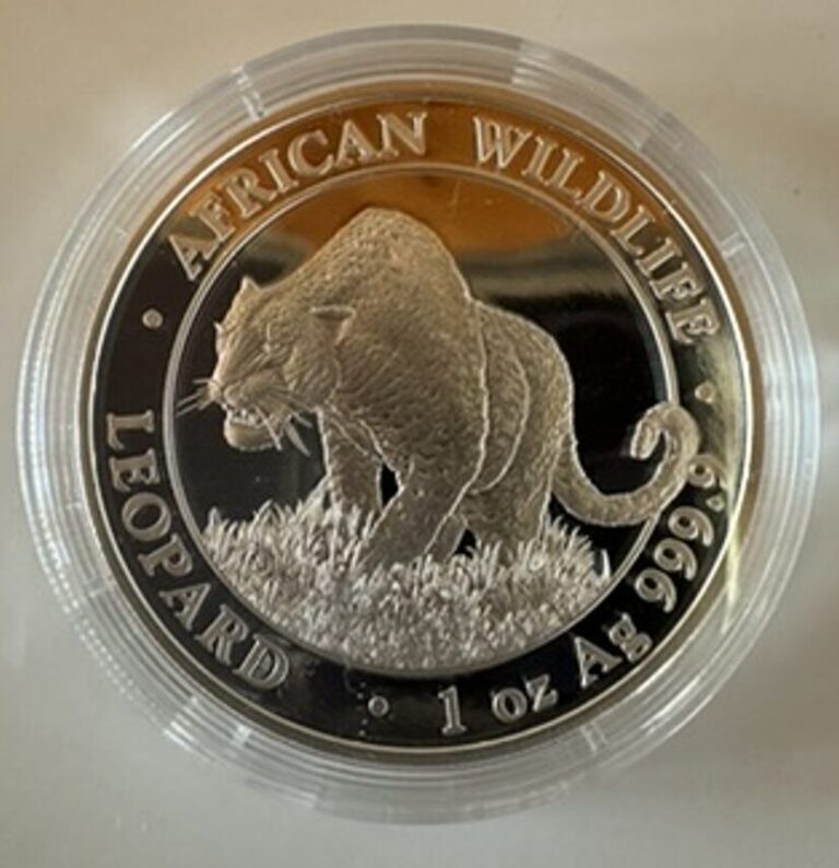 Read more about the article 2023 Somalia 1 oz Silver African Wildlife Leopard BU in capsule