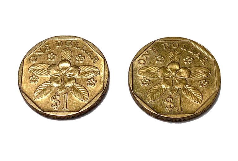 Read more about the article Very RARE 1990 SINGAPORE  2nd series 1 Dollar coin Ø22mm 2pcs  AUNC Free Postage